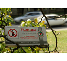 Детокс (полин, чебрець, розмарин)