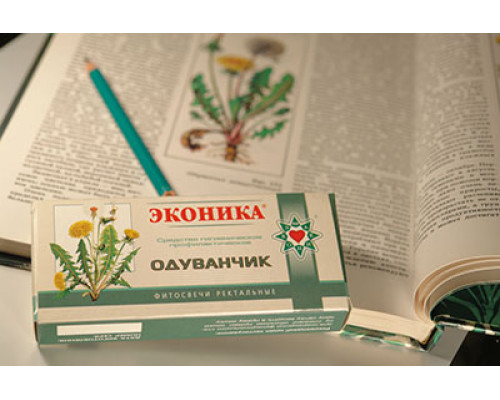 Кульбаба Кульбаба